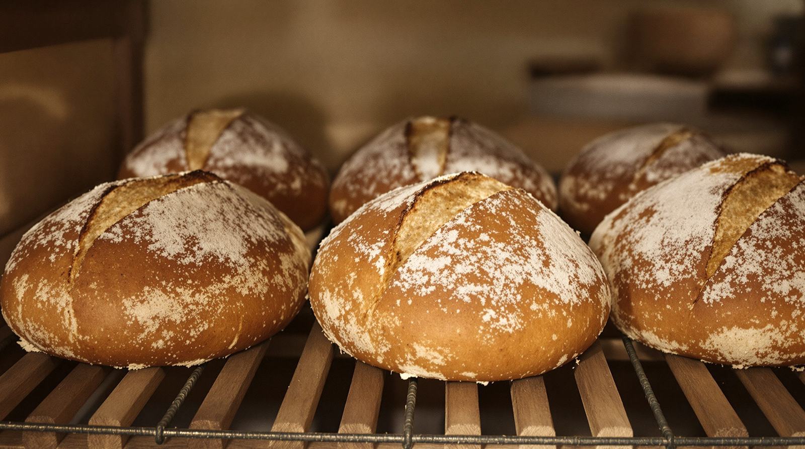 Frisch gebackene Brote auf einem Rost